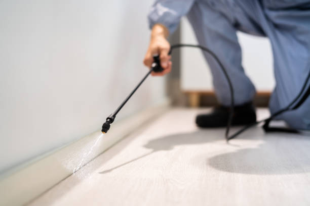 Certified termite inspector examining foundation in Harrodsburg