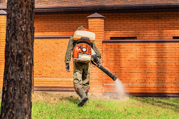 Top rated local Wasp Removal specialists in Harrodsburg, KY